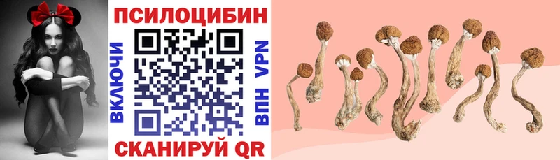 darknet телеграм  Обнинск  Псилоцибиновые грибы Psilocybine cubensis 