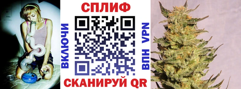 Каннабис сатива Обнинск